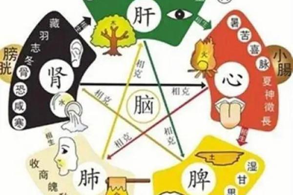 命理中的冲突：揭秘五行相克、相生的奥秘与影响