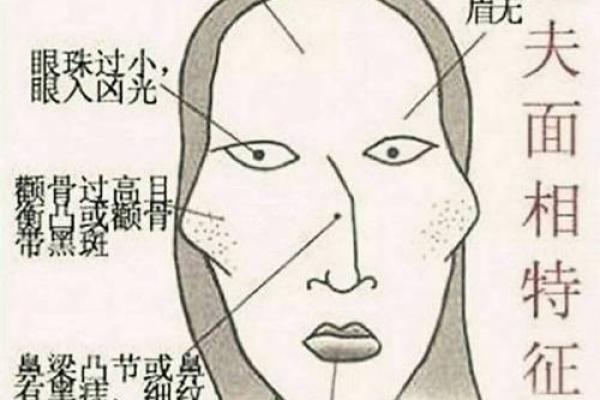 眉骨突出的命运：从面相看人生的起伏与性格特质