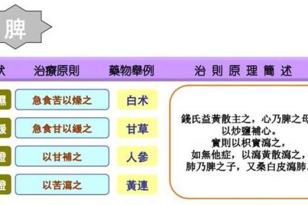 探秘阴阳命理学：揭开生命之谜的古老智慧