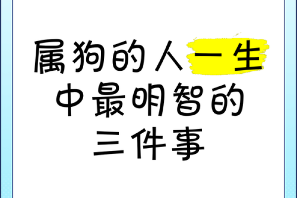 有狗子的人是福气满满的命运之选！