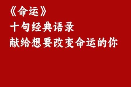 命运的指引：除了命运，我还能拥有什么？