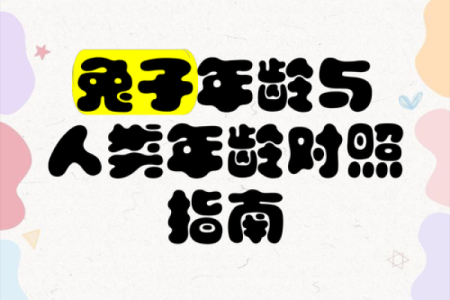 探寻1963年腊月兔命人的命运与生活智慧