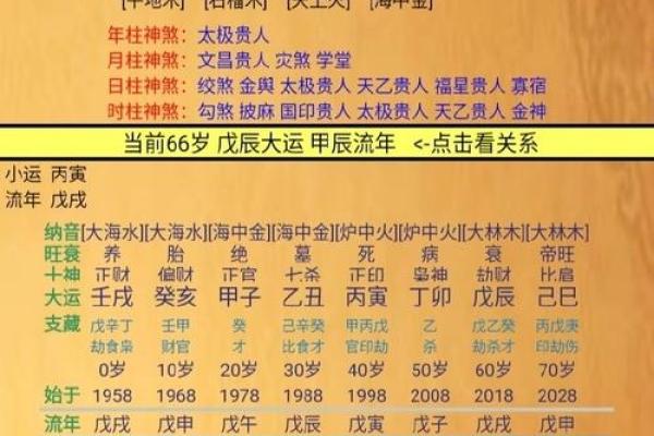 男命食神运的含义与影响：揭示人生的美好财富