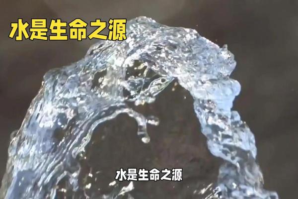 缺水的孩子：生命之源与命运的交织