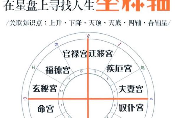 男人命格的奥秘：如何助力女性事业与生活成功