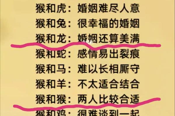 女命属狗与哪些生肖最为相配？探寻幸福婚配之道！