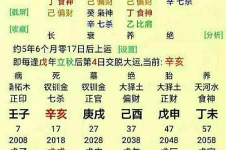 壬申甲辰戊寅乙卯命格解析：探索命理的奥秘与人生启示