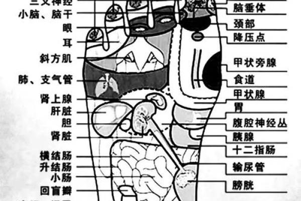 女人脚底不平与命运的微妙关系：揭示内心的秘密