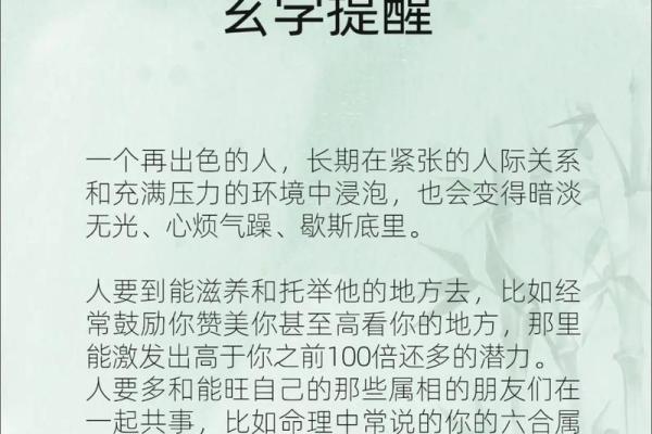 命理与玄学：如何通过命运了解学习的最佳方向