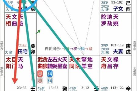 紫薇入命主星解密：你的人生轨迹与性格密码