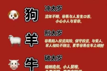 龙年命格的揭秘：那些与生俱来的幸运与挑战