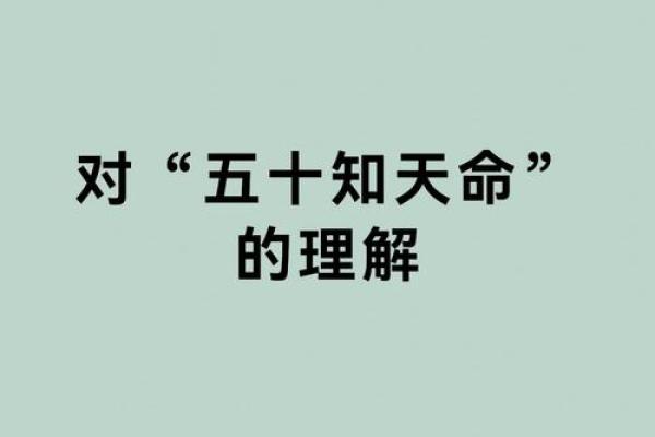 以“命”为主题的成语接龙，探索人生的智慧与哲理