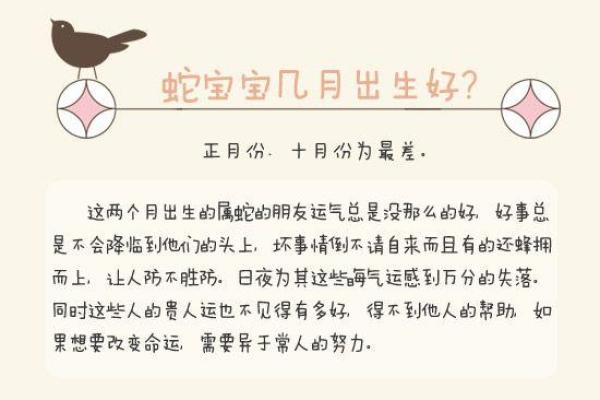 巳时虎女宝宝命理解析：如何为她的未来打下良好基础