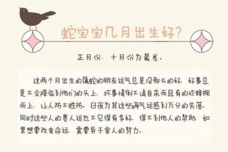 巳时虎女宝宝命理解析：如何为她的未来打下良好基础