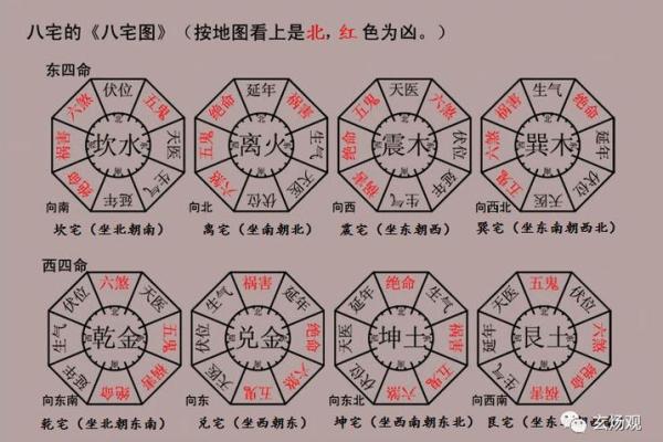 木命家庭风水布局与适合摆放的物品解析