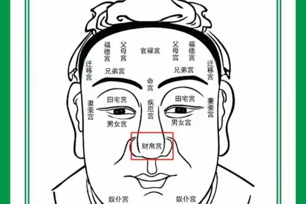 透视面相：识破财库命的破财之兆