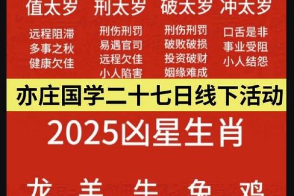 探寻水命者的五行之旅：如何选择合适的属性补充运势