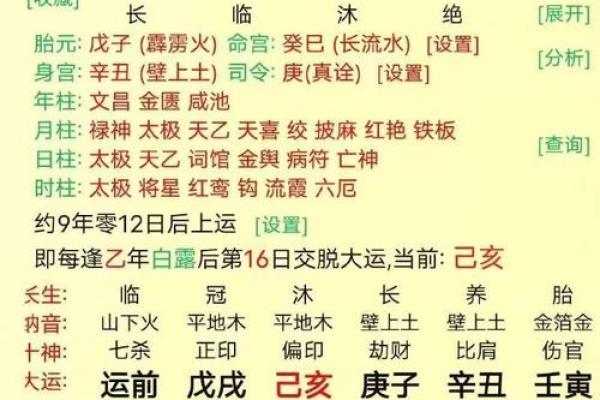 探寻命理之道：丙申年丁酉月的命理解析与生活启示