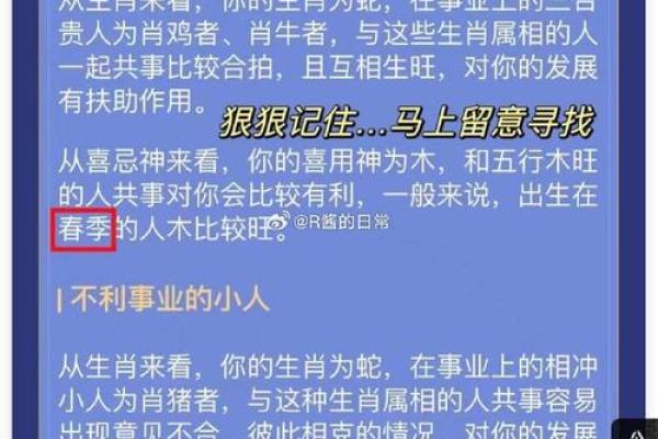 算卦大仙究竟能算出什么命？揭开命理的奥秘与智慧