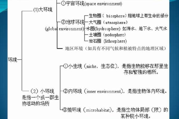 扎根森林：孩子成长的生态之旅与生命启示