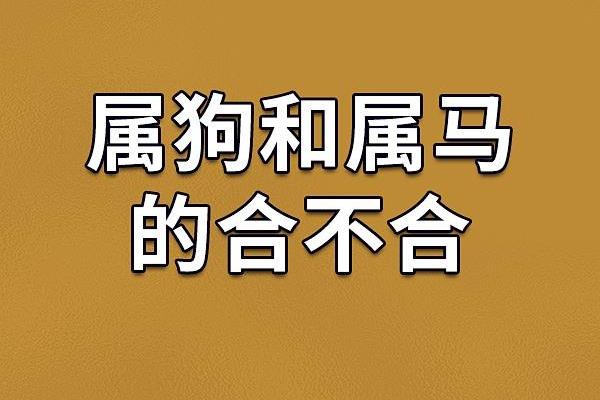 属狗1952年的人命运与性格解析：忠诚与智慧的结合