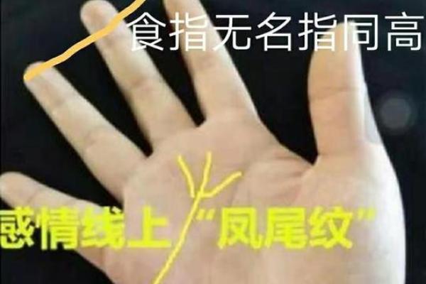 探寻陈晓东老婆的命格：命运与婚姻的奇妙结合