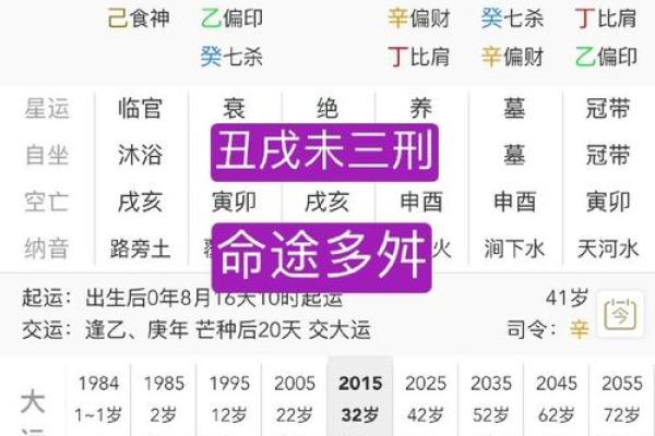 辛未甲午丁卯命理解析：揭示命运中隐藏的秘密与智慧