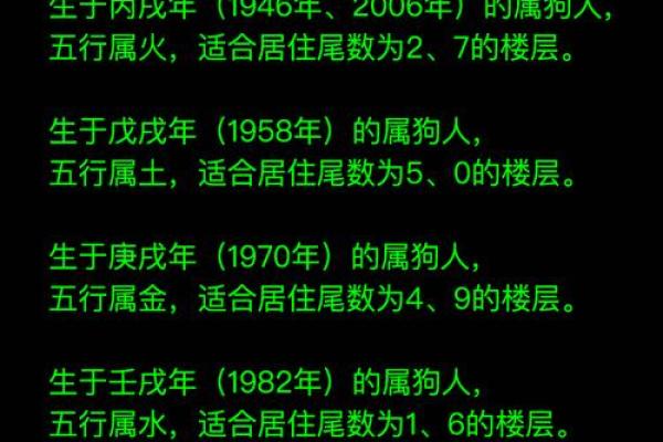 属狗人2024年生什么命？探秘命理与狗年的结合