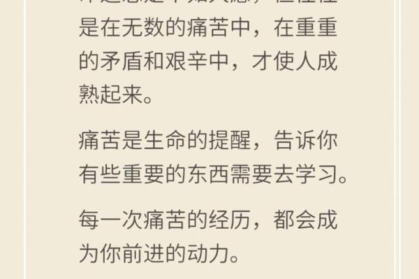 男人被离婚后的人生转变与自我救赎