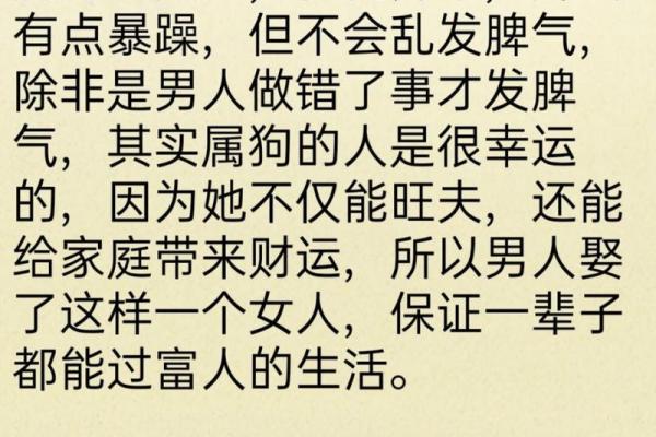 属狗生肖：忠诚守信，命运的守护者与快乐的缔造者