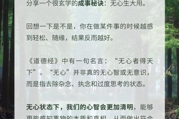 怕麻烦的人是什么命？深入解析人生选择的背后智慧与启示