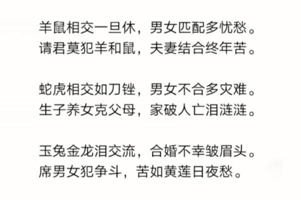 属什么命人与哪些生肖相克？探秘生肖相克的奥秘与影响！