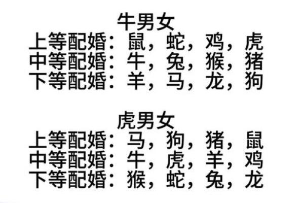 属什么命人与哪些生肖相克？探秘生肖相克的奥秘与影响！