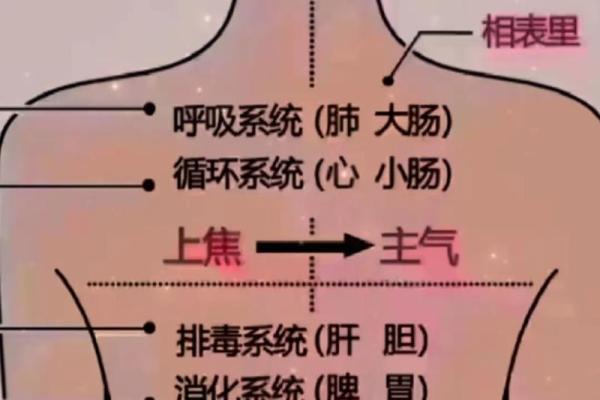 太阳火命与木的完美结合：揭示木与火的相生之道