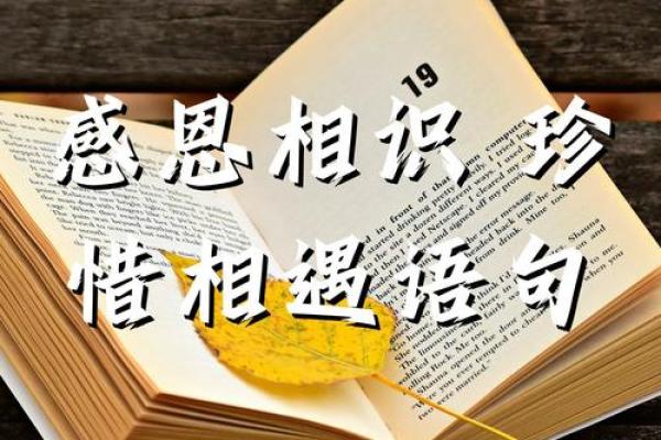 命理学中的天作之合：缘分与命运的完美结合