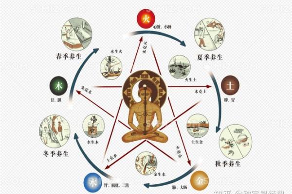 属猪天干命理揭秘：你是哪个命，应该如何把握人生？