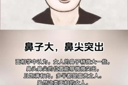 女人山根窄象征着什么命运？探寻面相与人生轨迹的奥秘