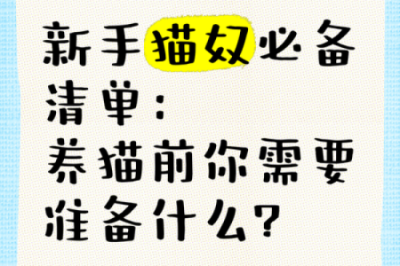 喜欢猫的人是什么命？揭示猫奴的灵魂特质与生活哲学