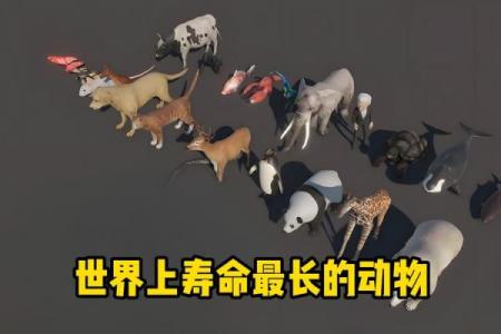 命运短暂的动物们：细数生命无常的自然奇迹