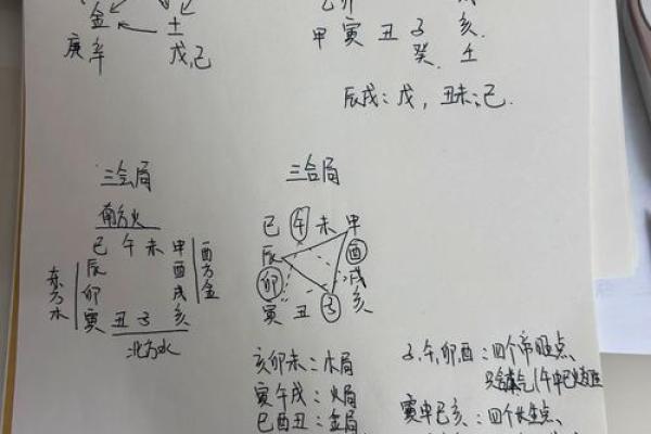 探秘：算命学中如何识别当官命的奥秘与特征