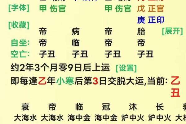 探讨癸亥年出生者的命运与性格特征