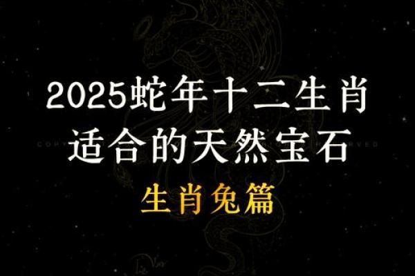 探寻1963兔子年：命理与性格的神秘交织