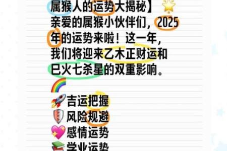 属猴人在2018年运势揭秘：如何把握机会，赢得一生的成功？