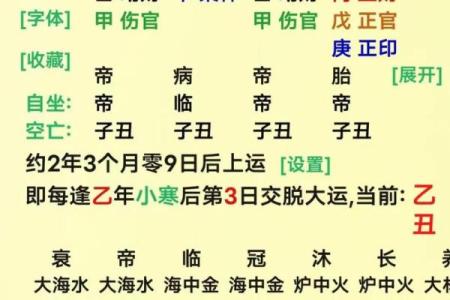 探讨癸亥年出生者的命运与性格特征