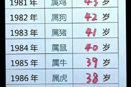 小年生属鸡的人命理解析：八字与性格的深度剖析