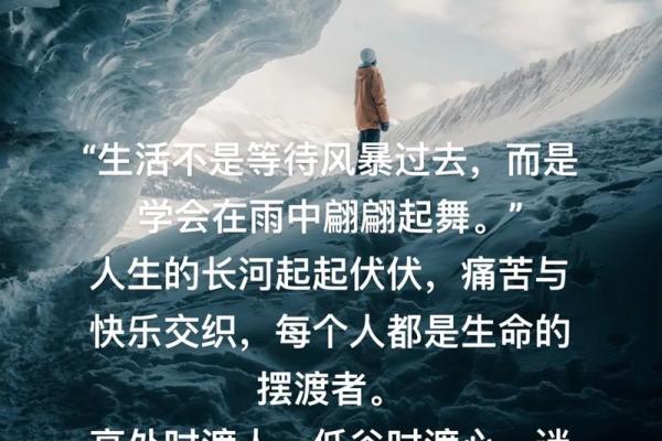 惜命的人，有何下场？探讨生命与选择的交织