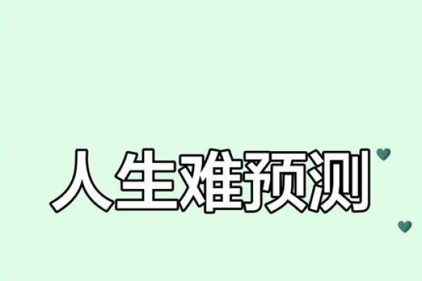 命理分析：被杀者的命运揭示人生的无常与选择