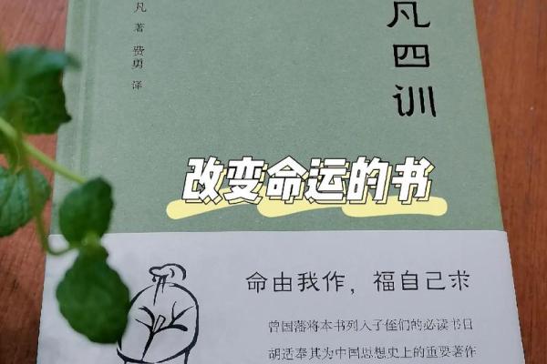 命理分析：被杀者的命运揭示人生的无常与选择