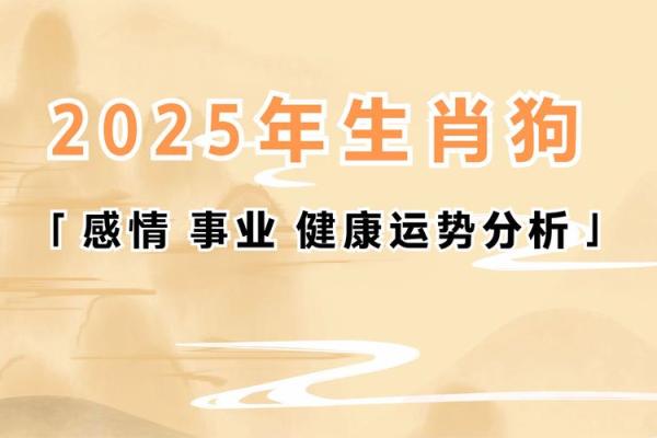 生肖狗51岁的人生命运解析：开启智慧与勇气之旅的转折点