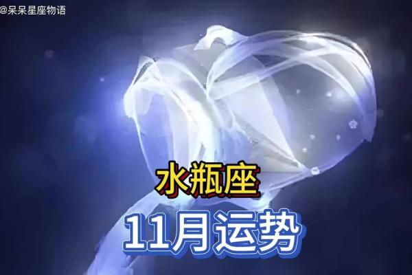 水瓶座命主星的职业选择：追逐创新与自由的理想之路